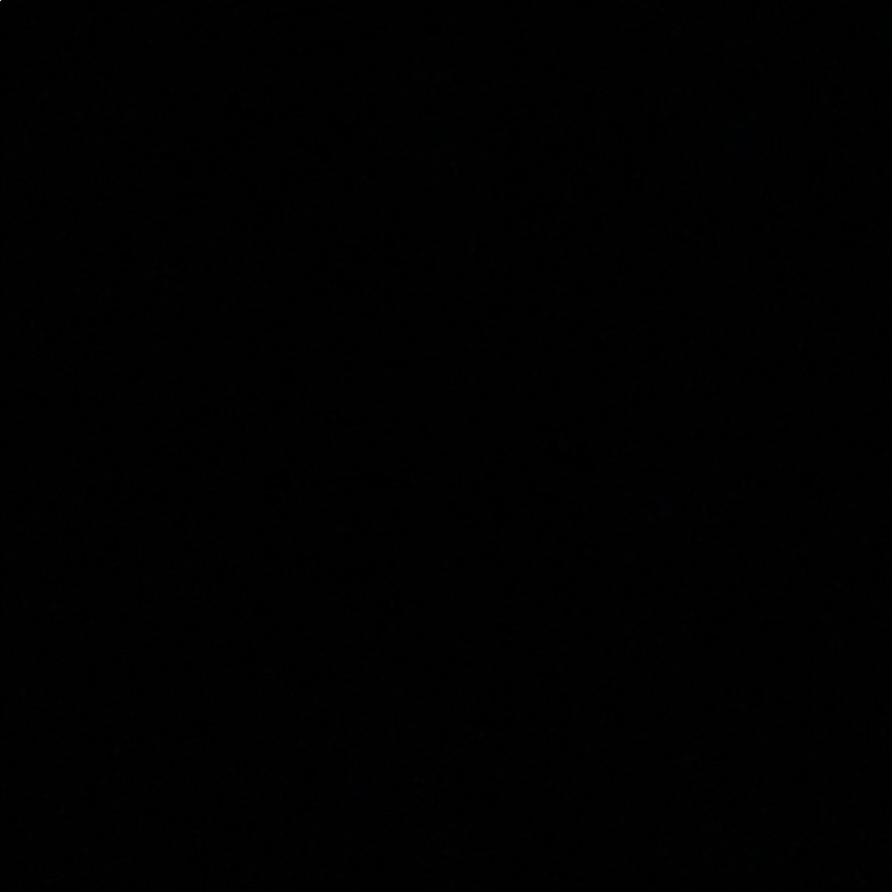 Meet your Posher, Ariane